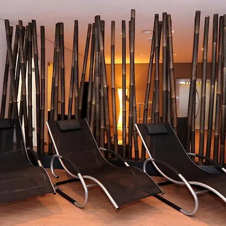 Готель Schweizer Hof 3*
